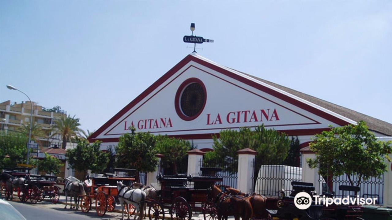 Апартаменты Convento De La Victoria Junto Al Cabildo Con Wifi Y Parking Gratis Санлукар-де-Баррамеда Экстерьер фото
